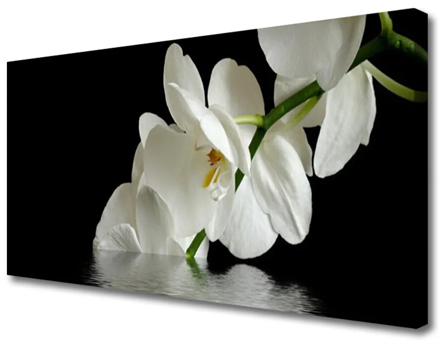 Obraz Canvas Orchidea vo vode kvety 100x50 cm