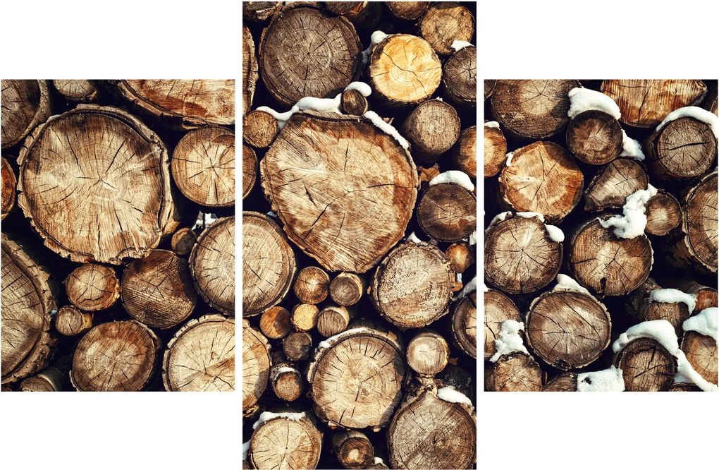 Obraz - Drevo v snehu (90x60 cm)