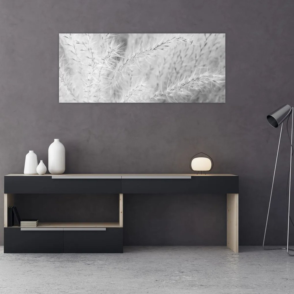 Obraz - Pampas grass N⁰1 (120x50 cm)