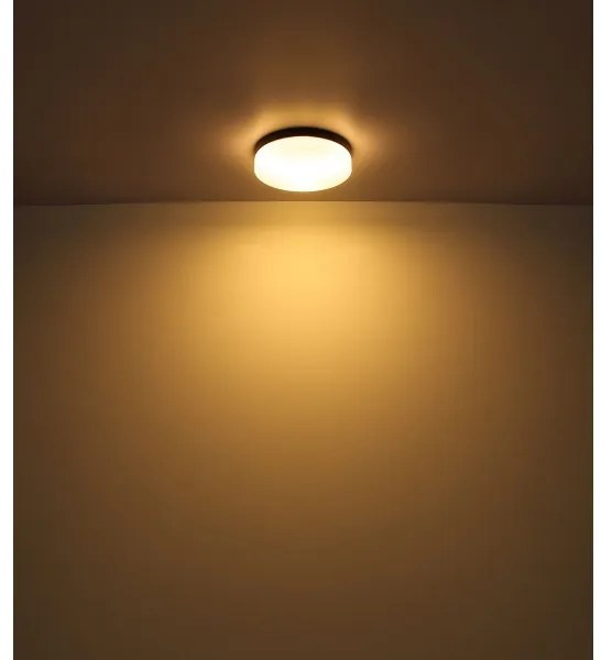 Globo 32113B - Kúpeľňové svietidlo VRANOS 3xE27/60W/230V pr. 30 cm IP44