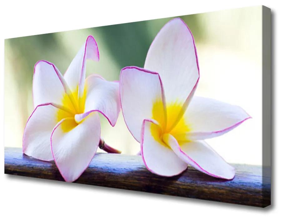 Obraz Canvas Kvety plátky plumérie 120x60 cm