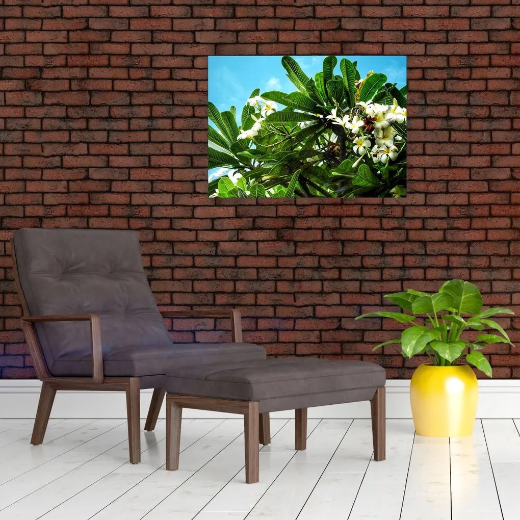 Sklenený obraz - Plumeria (70x50 cm)