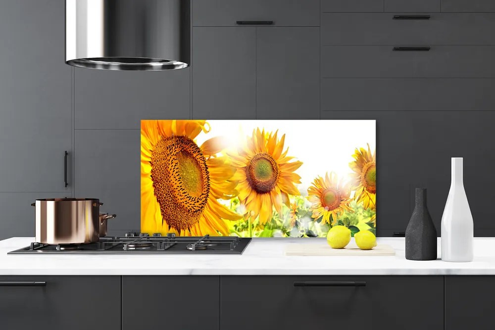 Sklenený obklad Do kuchyne Slnečnica kvet rastlina 120x60 cm