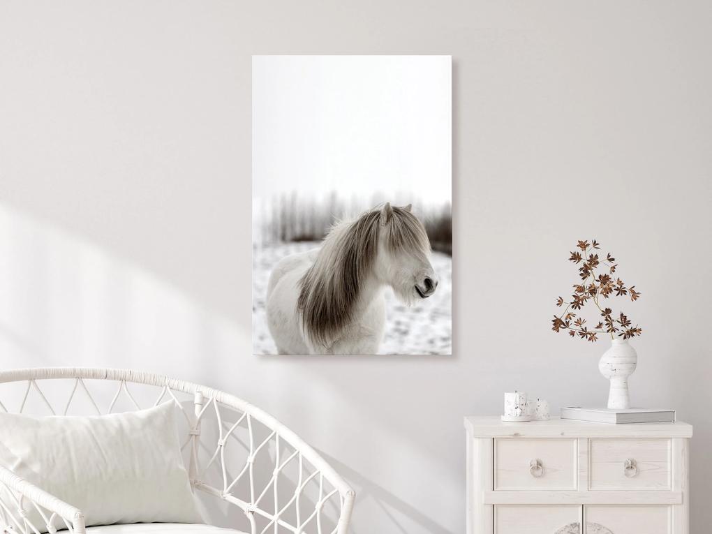 Artgeist Obraz - Horse Mane (1 Part) Vertical Veľkosť: 40x60, Verzia: Premium Print