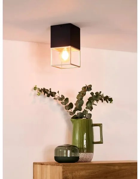 Lucide 21120/01/30 - Stropné svietidlo RIXT 1xE27/40W/230V