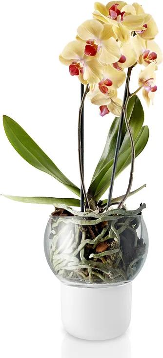 Eva Solo Sklenený samozavlažovací kvetináč na orchidey Ø 15 cm