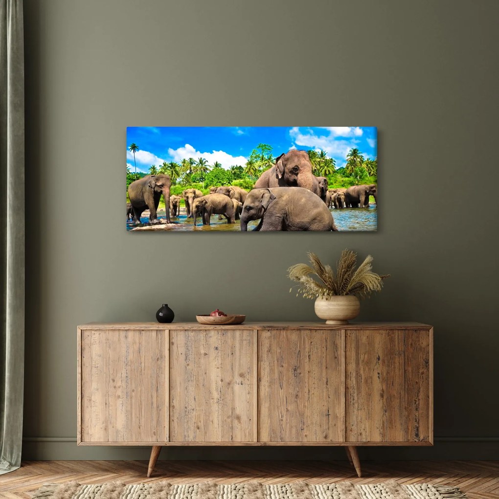 Obraz - Slony, Sri Lanka (120x50 cm)