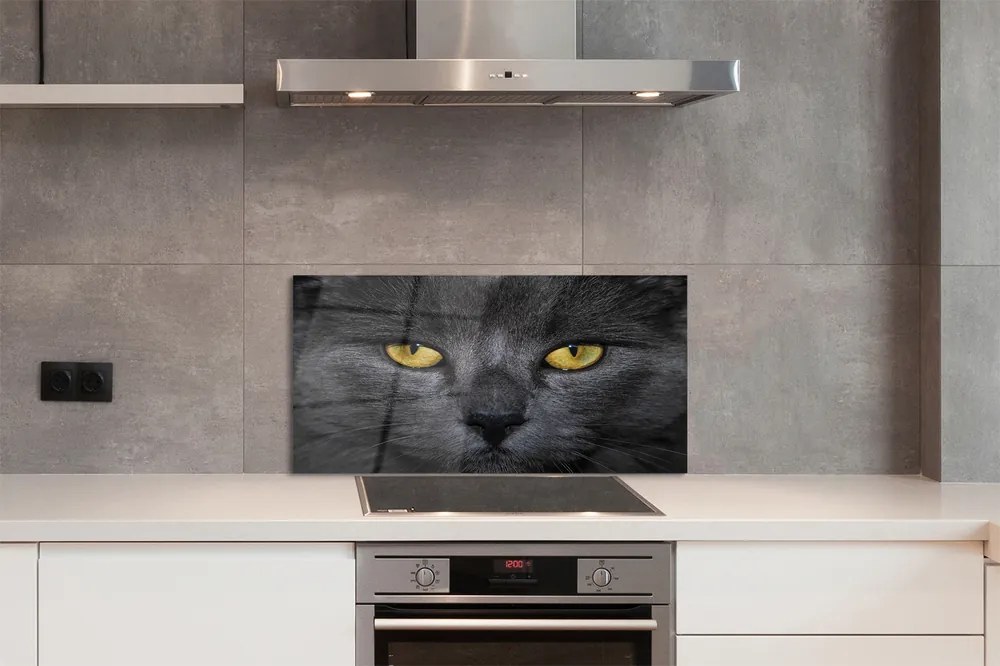 Nástenný panel  Čierna mačka 120x60 cm