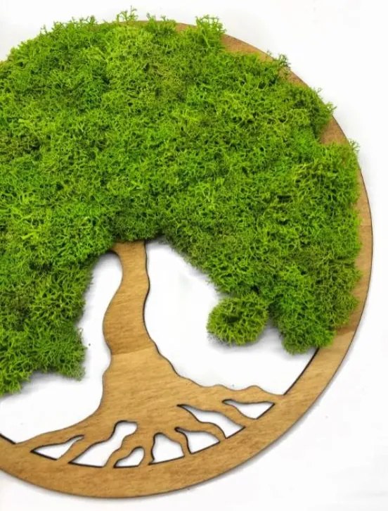 Strom na stenu z machu Arion 30 cm