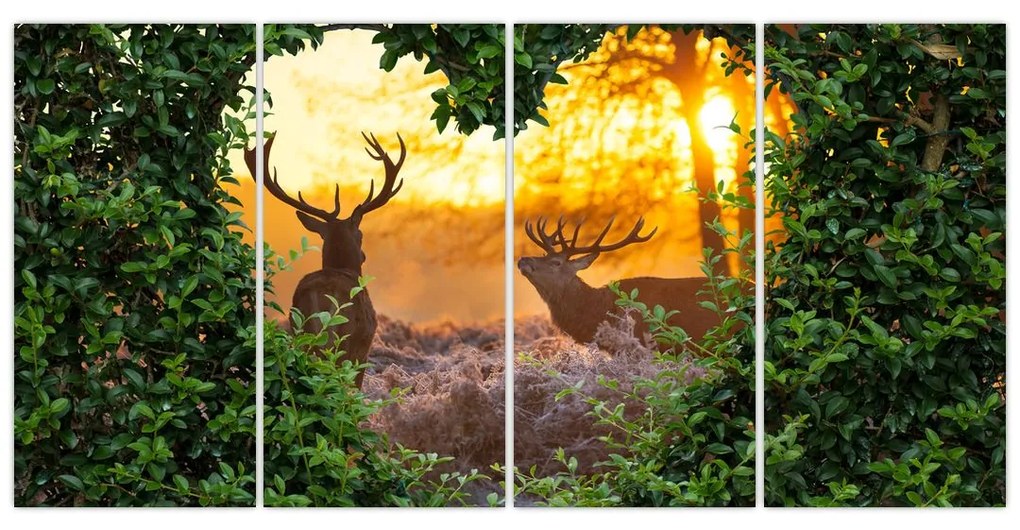 Abstraktný obraz na stenu