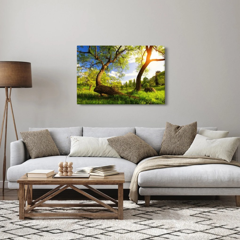 Obraz jarnej lúky (90x60 cm)