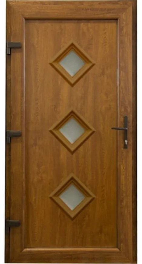 Dvere vchodové Mary D27 90L 98x198x7 zlatý dub
