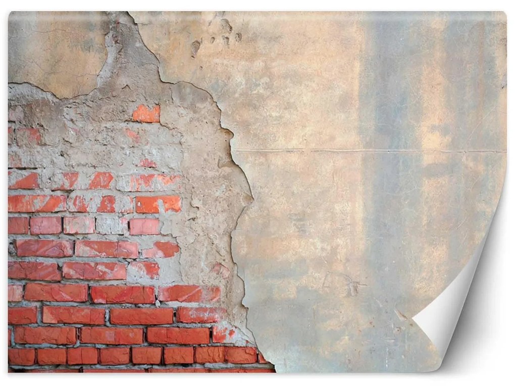 Gario Fototapeta Stará tehlová stena Materiál: Vliesová, Rozmery: 100 x 70 cm