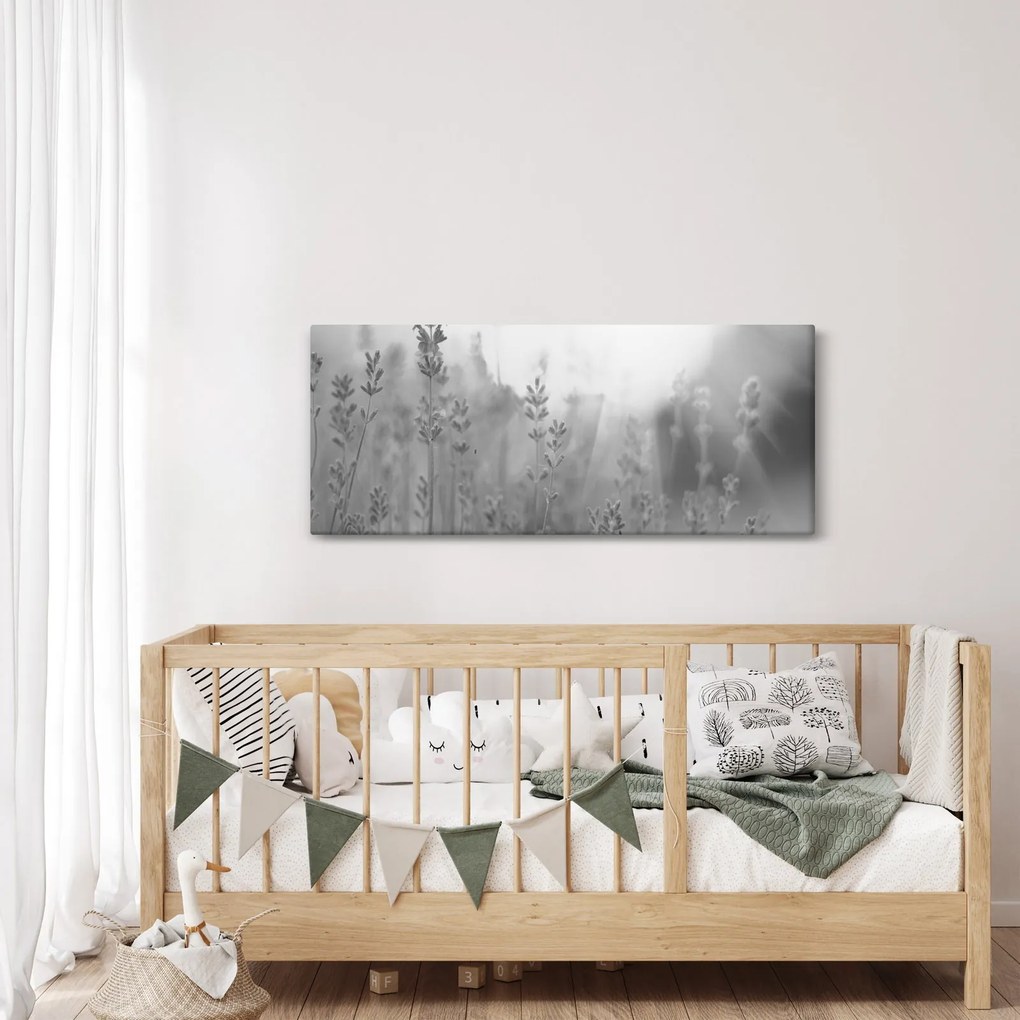 Obraz - Levanduľa (120x50 cm)