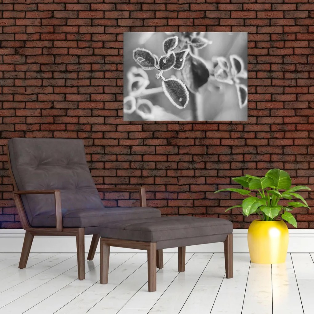 Sklenený obraz - Príroda na jeseň (70x50 cm)