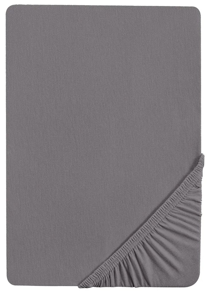 Biberna Napínacia džersejová plachta (strieborná/sivá, 140 – 160 x 200 cm)  (100227068)