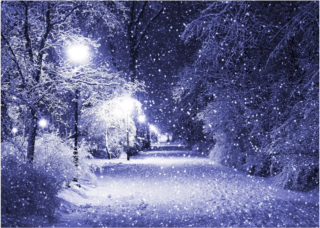Sklenený obraz - Čarovná zimná noc (70x50 cm)