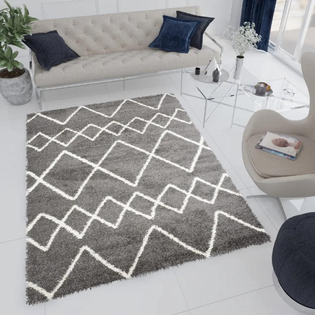 Dizajnový koberec WINTER - SHAGGY ROZMERY: 300x400