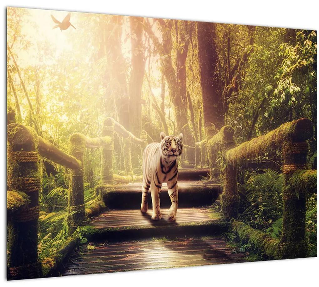 Obraz tigra v džungli (70x50 cm)