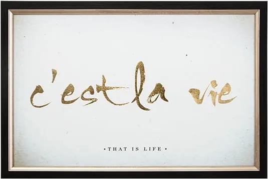 Obraz v ráme Graham & Brown La Vie, 60 × 40 cm