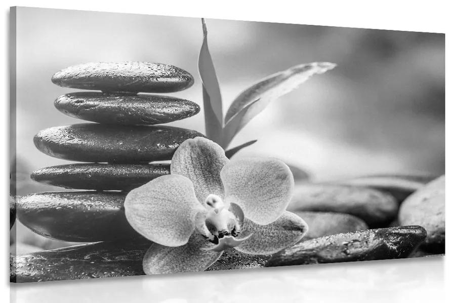 Obraz meditačná Zen kompozícia v čiernobielom prevedení