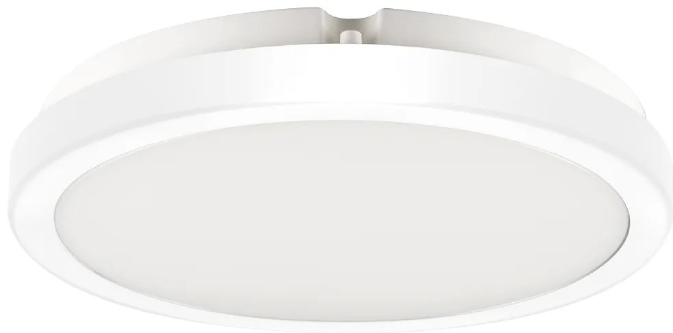Stropné LED svietidlo Vera, 1x LED 24w, 4000k, w