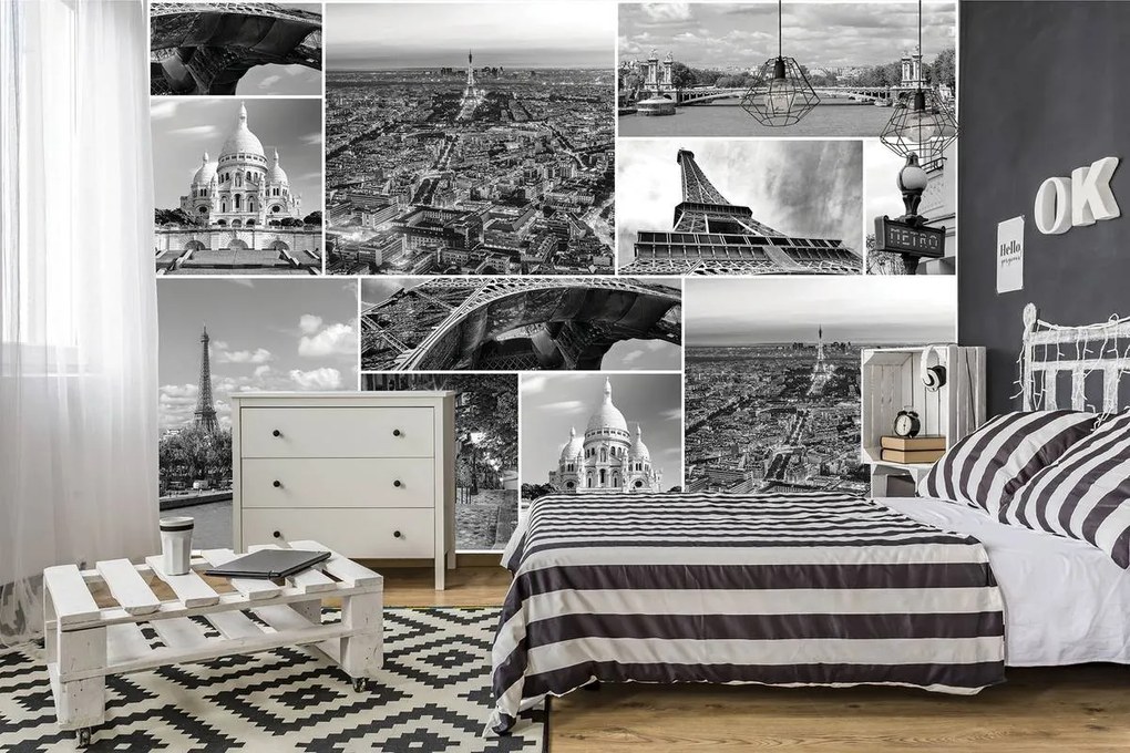 Fototapeta - Parížske pamiatky (152,5x104 cm)