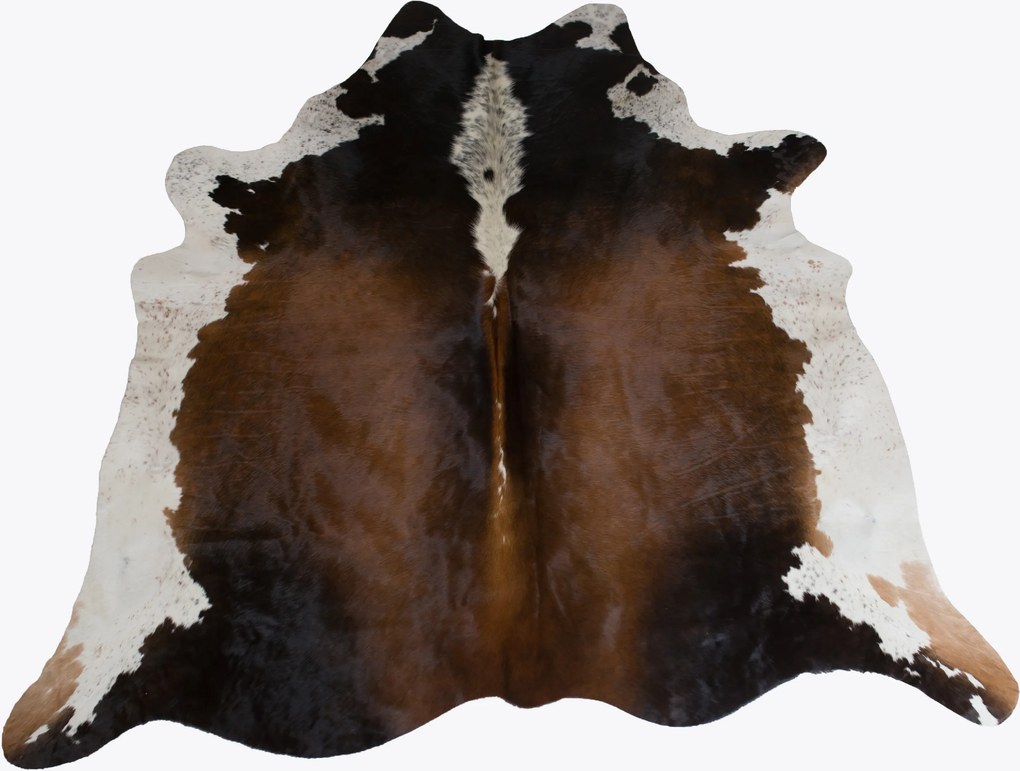 Koža z argentínskej kravy hnedá 003