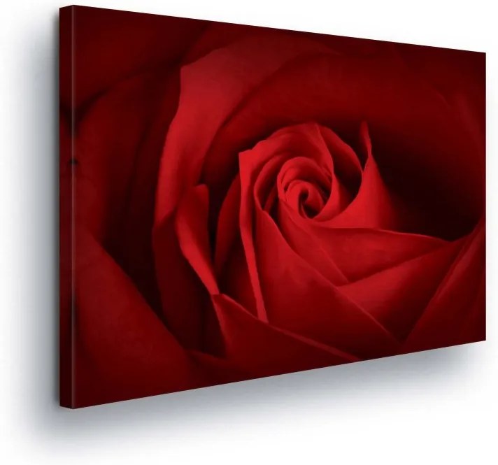 GLIX Obraz na plátne - Flower of the Red Rose 100x75 cm