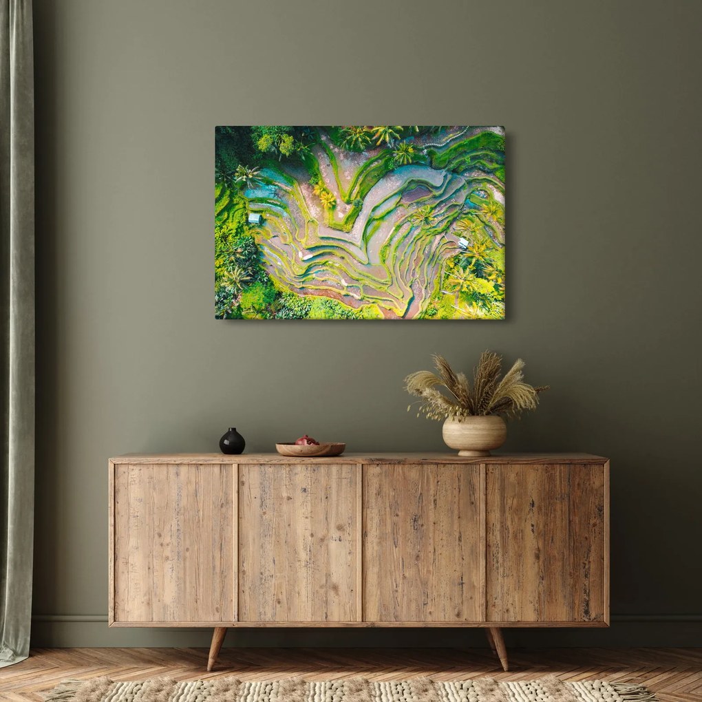 Obraz ryžových polí z vtáčej perspektívy (90x60 cm)