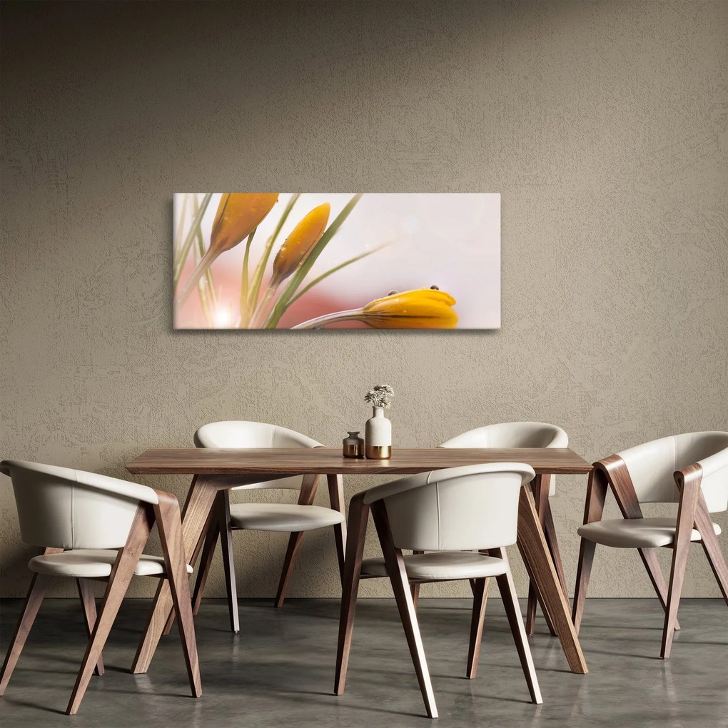 Obraz - Jarné kvety (120x50 cm)