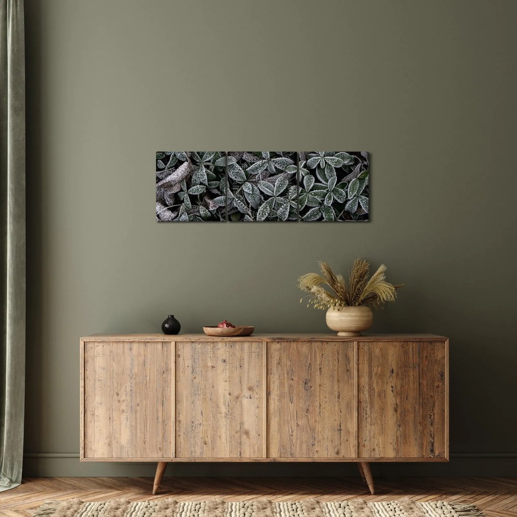 Obraz - Zamrznuté rastliny (s hodinami) (90x30 cm)