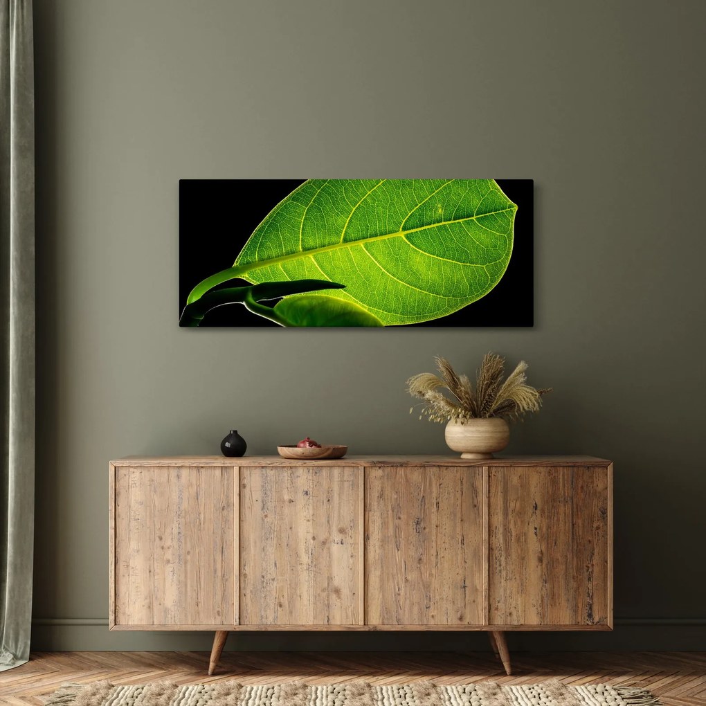 Obraz - zelený list (120x50 cm)