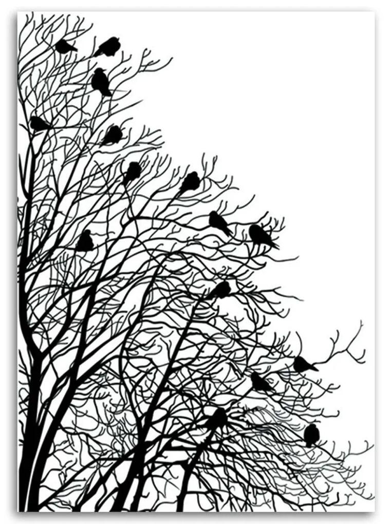 Obraz na plátně Ptáci na větvi Černá Bílá - 80x120 cm