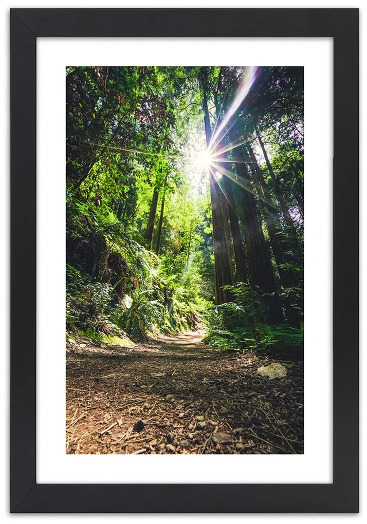 Gario Plagát Cesta v hustom lese Farba rámu: Bez rámu, Rozmery: 40 x 60 cm