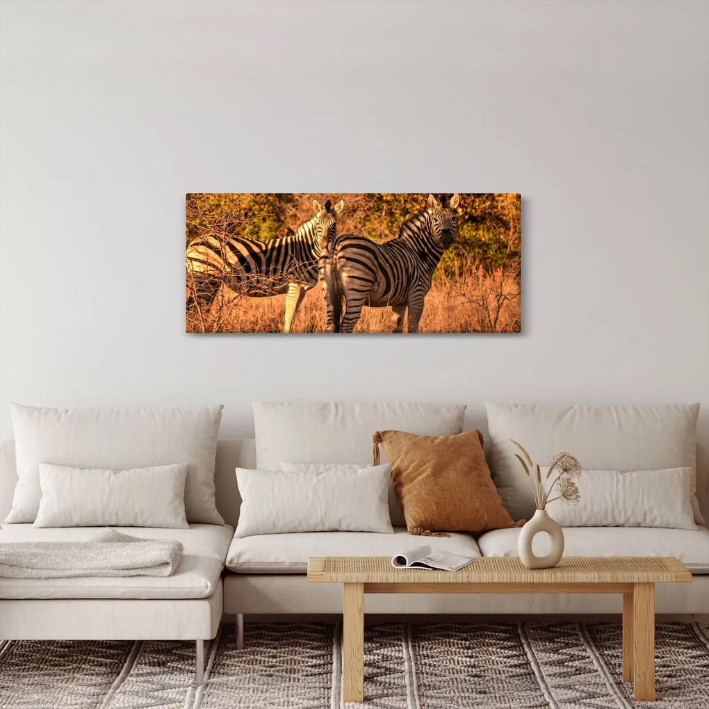 Obraz zebier (120x50 cm)