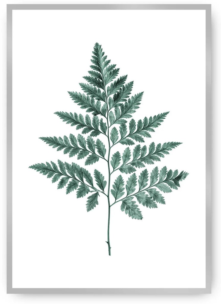 Plagát Fern 21 x 30 cm Emerald Green
