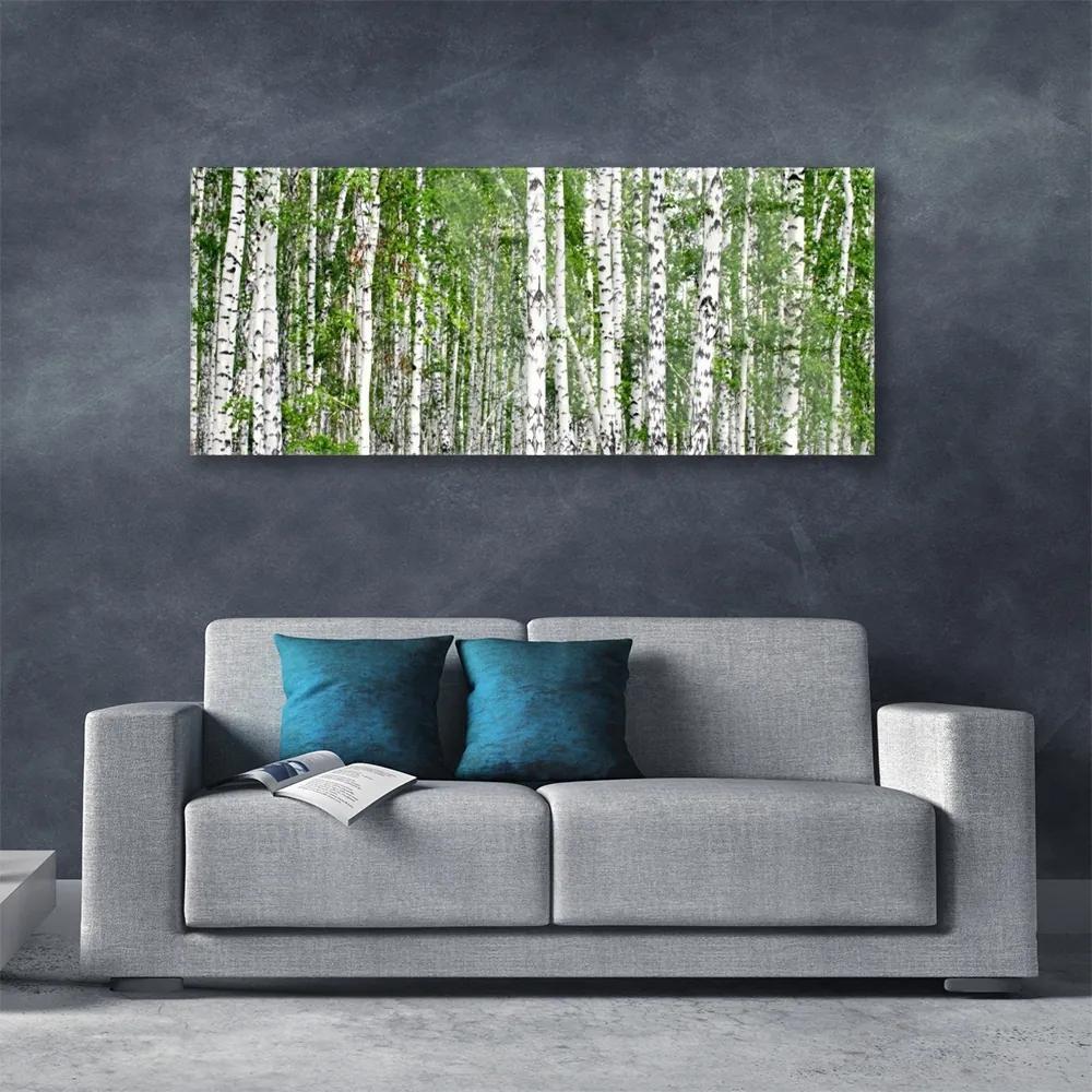 Obraz na akrylátovom skle Breza les stromy príroda 125x50 cm