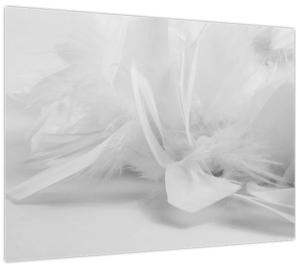 Obraz - Perie (70x50 cm)