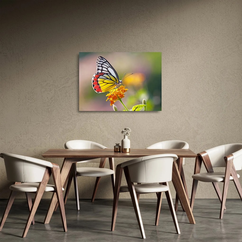 Sklenený obraz motýľa na kvete (70x50 cm)