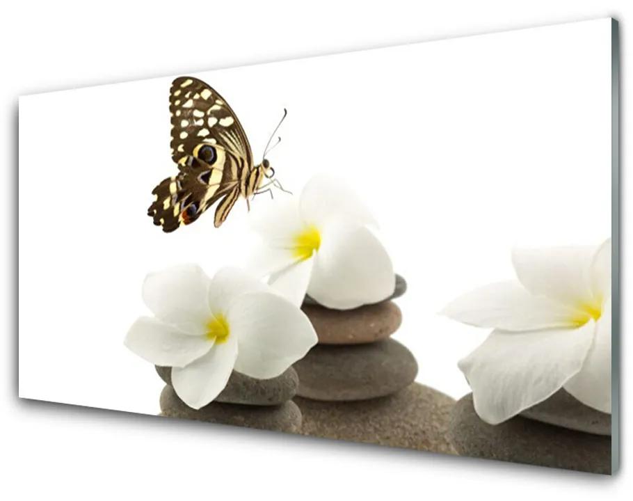 Skleneny obraz Motýľ kvet kamene rastlina 140x70 cm