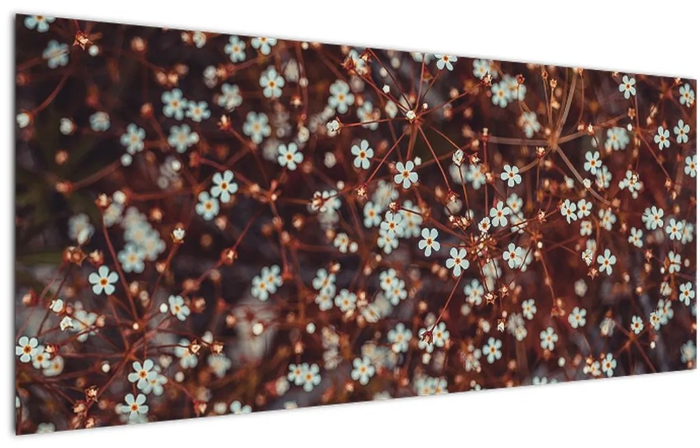 Obraz kvetu Nezábudky lesnej (120x50 cm)