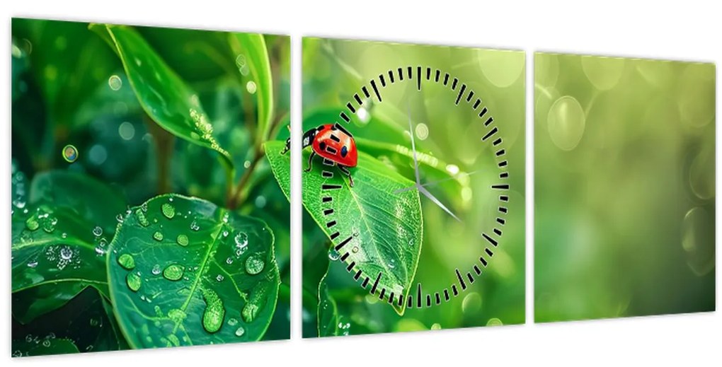 Obraz - Lienka (s hodinami) (90x30 cm)