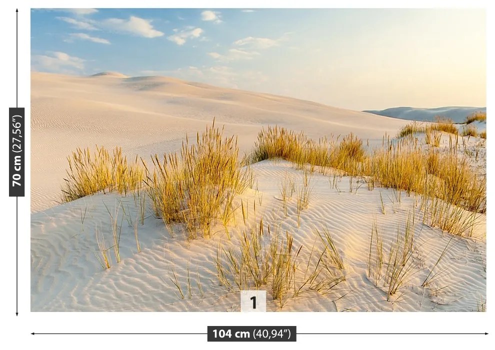 Fototapeta Vliesová Bunesk dunes 250x104 cm