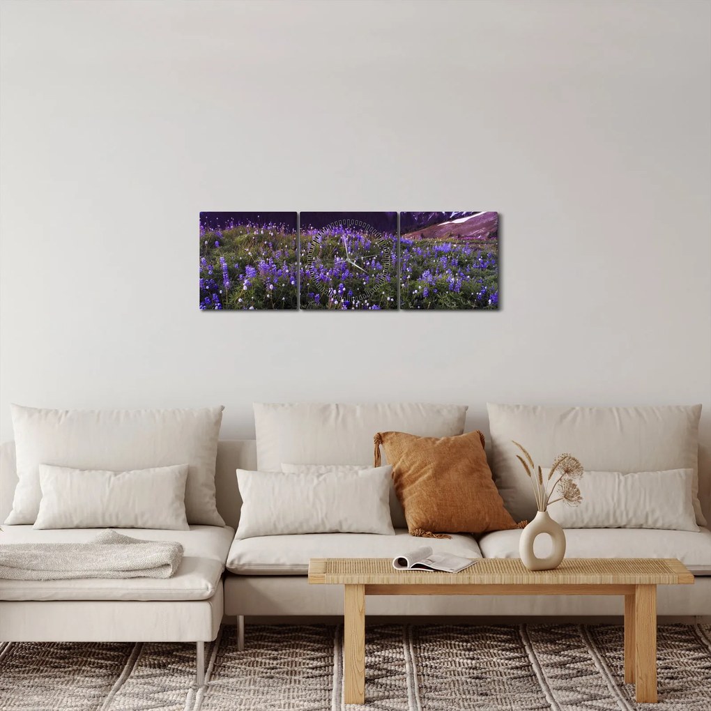 Obraz - Sopka a kvety (s hodinami) (90x30 cm)