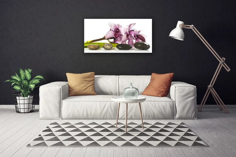 Obraz Canvas Kvet kamene rastlina 140x70 cm