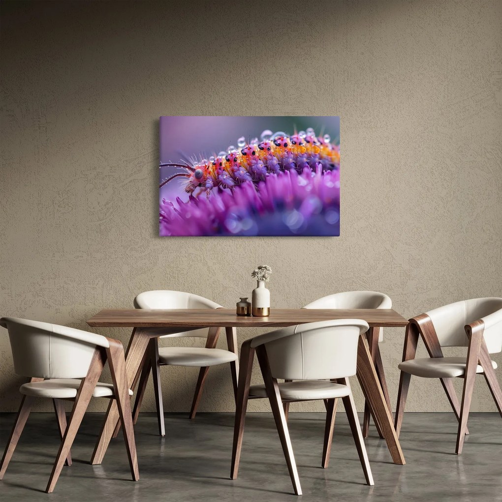 Obraz - Húsenica (90x60 cm)