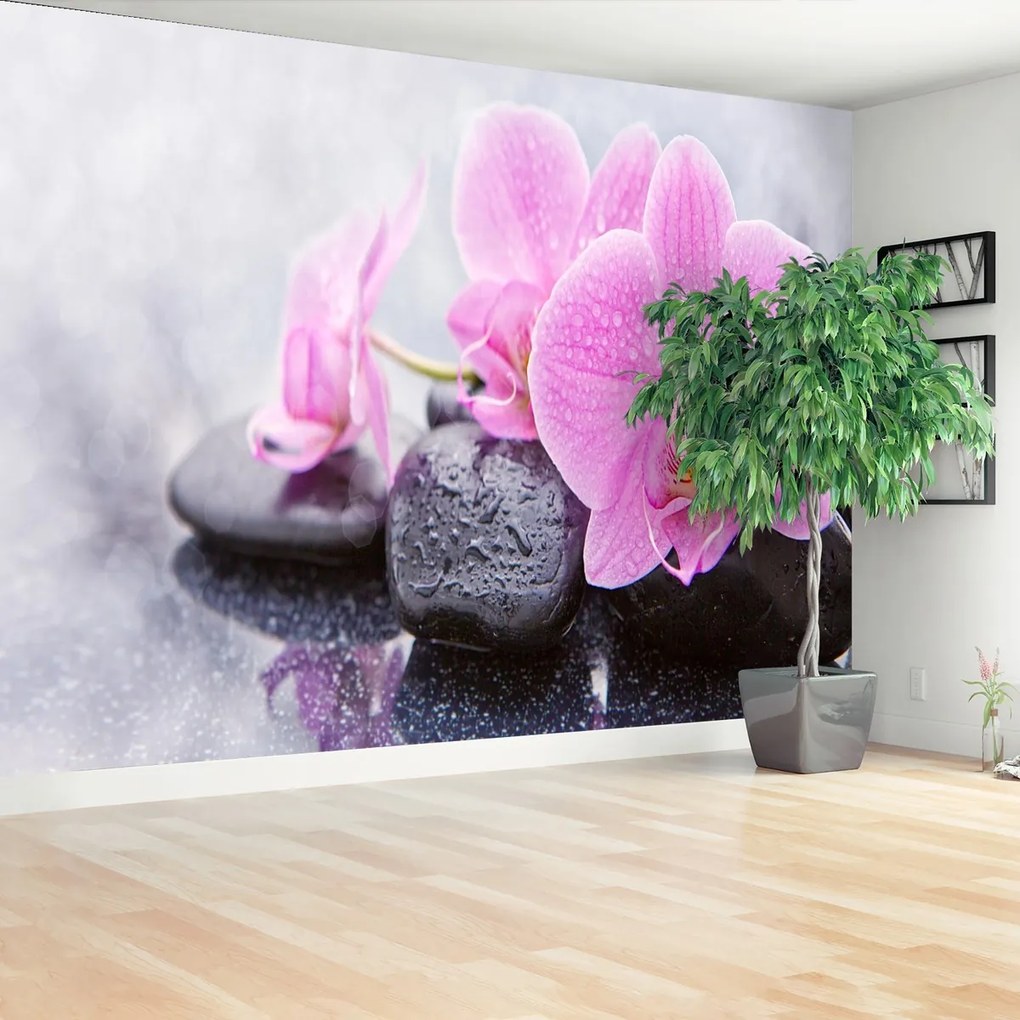 Fototapeta orchidea kamene