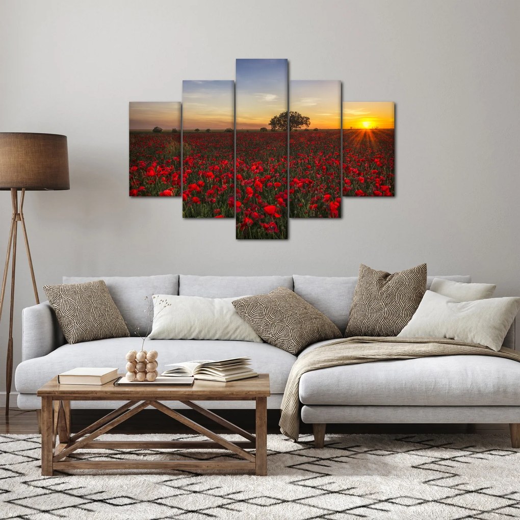 Obraz lúky s vlčími makmi (150x105 cm)