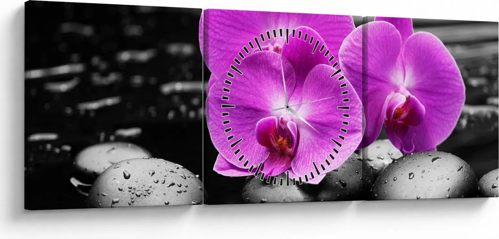 Obraz - Fialové orchidey (s hodinami) (90x30 cm)
